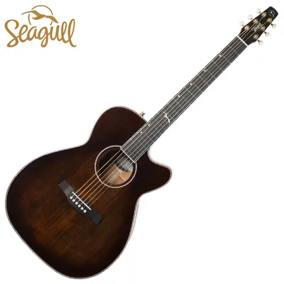 Seagull 어쿠스틱기타 Artist Mosaic Concert Hall CW Bourbon Burst GT Anthem EQ (050567)