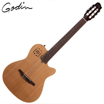 Godin 고딘 전자 클래식 기타 Multiac Nylon Encore Natural SG Encore Electronics (035045)