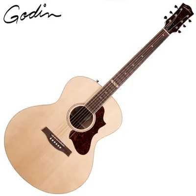 Godin 고딘 어쿠스틱기타 Forum Natural RN GT EQ (052110)