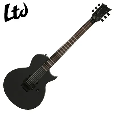 LTD 일렉기타 EC-FR BLACK METAL / Black Satin