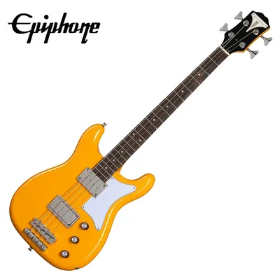 Epiphone 베이스기타 Newport Bass California Coral (EONB4CANH1)