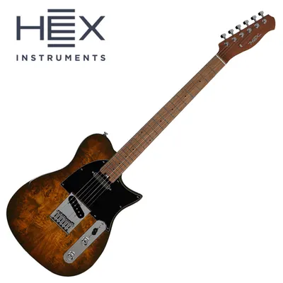 HEX 헥스 일렉기타 T260SG VB