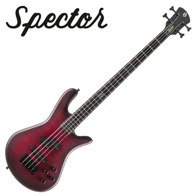 Spector 스펙터 베이스 NS PULSE II 4 Black Cherry Matte (NSPULSE4BCM)