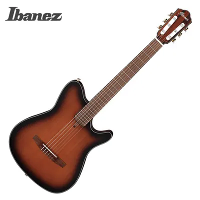 Ibanez 아이바네즈 나일론 어쿠스틱 일렉기타 FRH10N BSF