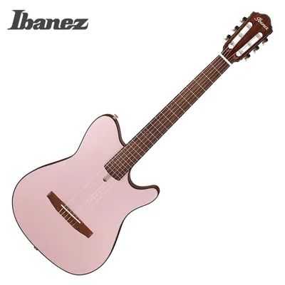 Ibanez 아이바네즈 나일론 어쿠스틱 일렉기타 FRH10N RGF