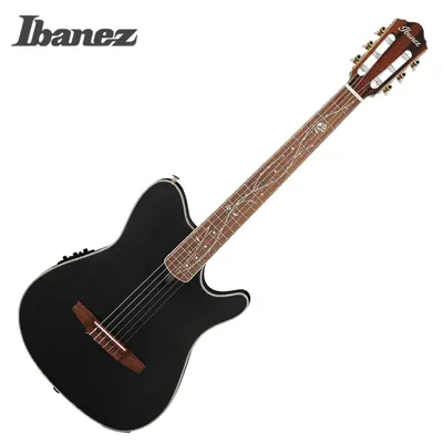 Ibanez 아이바네즈 어쿠스틱 일렉기타 TOD10N BK
