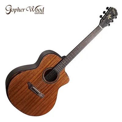 Gopher wood 고퍼우드 통기타 i265MC