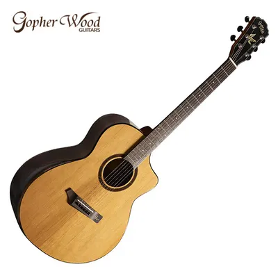 Gopher wood 고퍼우드 통기타 i365RC
