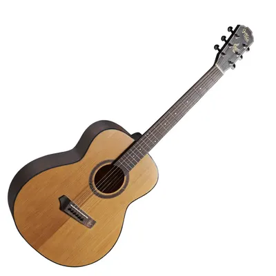 고퍼우드 Gopher Wood 통기타 i210RS