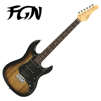 Fujigen - J Standard Odyssey / 후지겐 일렉기타 (JOS2TDEW1R/DMT)