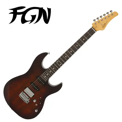Fujigen - J Standard Odyssey / 후지겐 일렉기타 (JOS2DUEW1R/IBS)