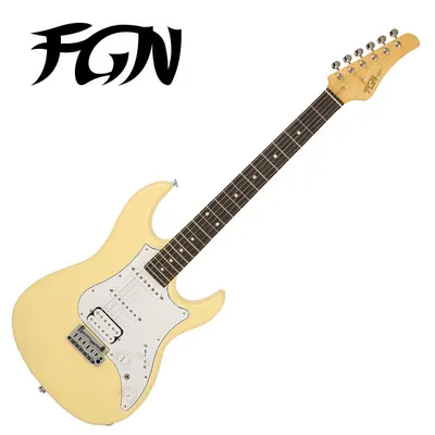 Fujigen - J Standard Odyssey / 후지겐 일렉기타 (JOS2TDR/IV)