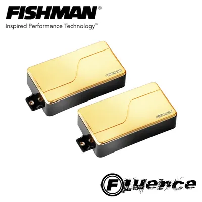 Fishman 피쉬맨 Fluence Modern Humbucker with Voice 3 SET (GOLD) / PRF-M36-SG2