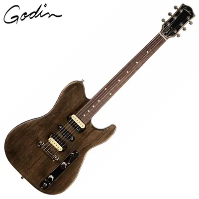 Godin 고딘 일렉기타 Radium Carbon Black RN (049301)