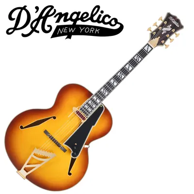 D.Angelico 디안젤리코 일렉기타 Excel Style B Dark Iced Tea Burst