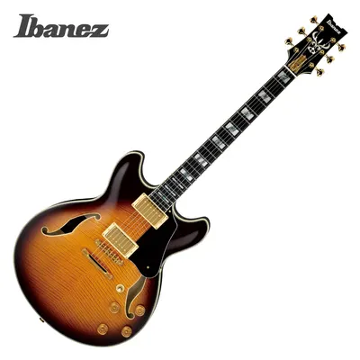 Ibanez 아이바네즈 존 스코필드 시그니처 일렉기타 JSM100