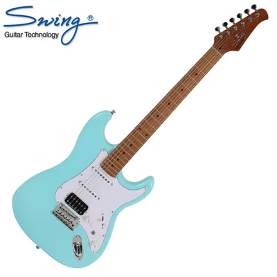Swing 스윙 일렉기타 S-100 EX DBL (M)
