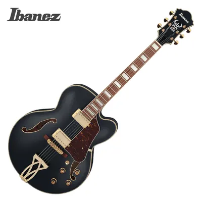 Ibanez 아이바네즈 일렉기타 AF75G BKF (Black Flat)