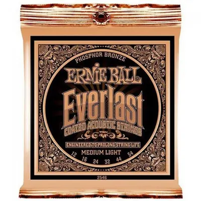 어니볼 Ernie Ball 통기타줄 에버라스트 코티드 포스포 브론즈 [2546] (012-054)