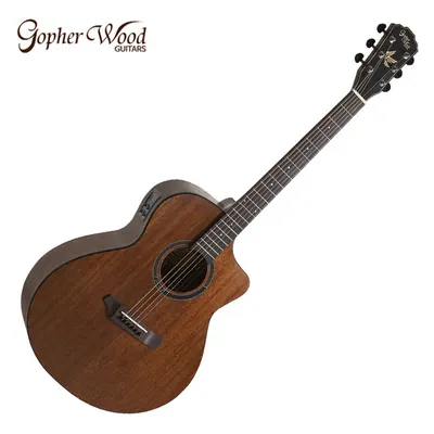 고퍼우드 Gopher Wood 통기타 i160MCE slim