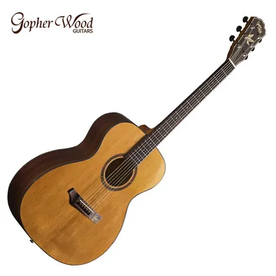 고퍼우드 Gopher Wood 통기타 i310R