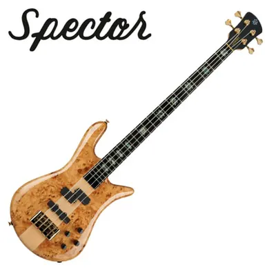 Spector 스펙터 베이스 Euro 4 CST Natural Gloss (EURO4CSTNAT)