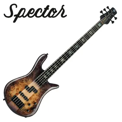 Spector 스펙터 베이스 Euro 5 CST Natural Violet Burst (EURO5CSTVLT)