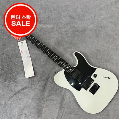 펜더 Fender Mexico Artist Series Jim Root Telecaster Flat White-Rosewood (013-4444-780)