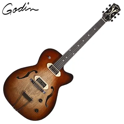 Godin 고딘 일렉기타 5th Avenue TL Vintage Burst HG Gold Foil (052844)