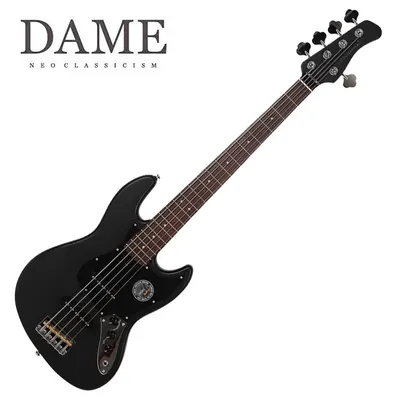 DAME 데임 일렉베이스 VS5 5현 BKS