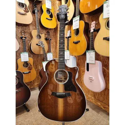 테일러 Taylor 어쿠스틱기타 424ce Special Edition