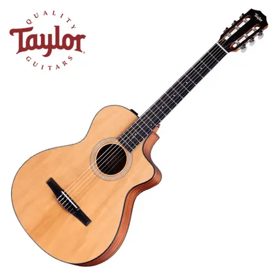 테일러 Taylor 어쿠스틱기타 112ce-N