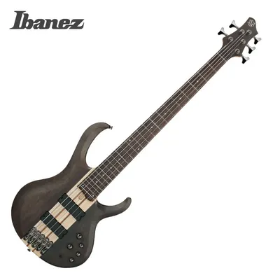 Ibanez 아이바네즈 5현 베이스기타 BTB605 TGF (Transparent Gray Flat)