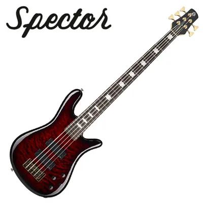 Spector 스펙터 베이스 NS Icon 5 Black Cherry Gloss (ICONNS5BBC)