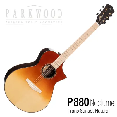파크우드 Parkwood 통기타 P880 Nocturne MR (TSN)