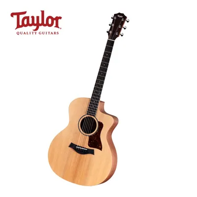 테일러 Taylor 어쿠스틱기타 24ce