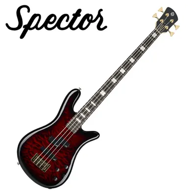Spector 스펙터 베이스 NS ICON 2 Black Cherry Gloss (ICONNS2BBC)