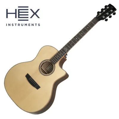헥스 HEX 통기타 Vespera VG500E