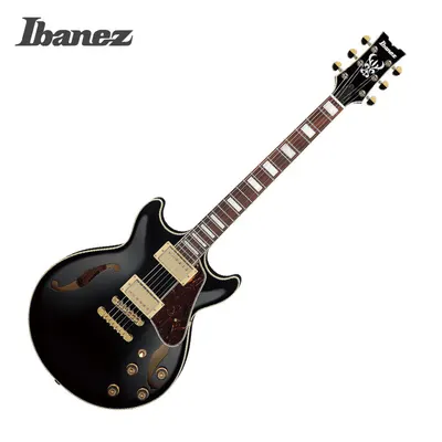 Ibanez 아이바네즈 일렉기타 AM73G Black
