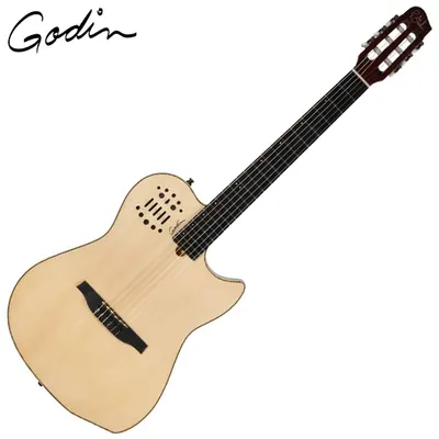 Godin 고딘 전자 클래식 기타 Multiac Nylon String Natural HG SA Electronics (004690)
