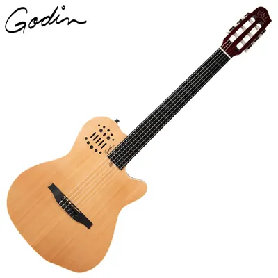 Godin 고딘 전자 클래식 기타 Multiac ACS Nylon Cedar Natural SG  SA Electronics (032150)