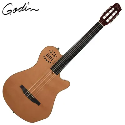 Godin 고딘 전자 클래식 기타 Multiac Grand Concert SA Electronics Natural HG (012817)