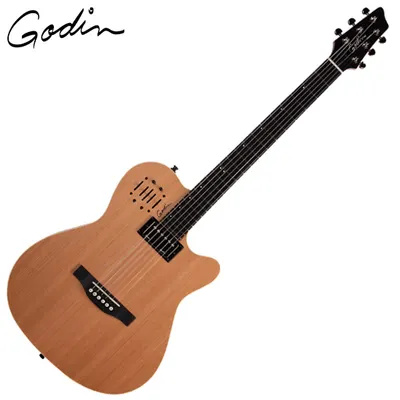 Godin 고딘 피에조 일렉기타 A-Series A6 ULTRA Natural SG (030293)