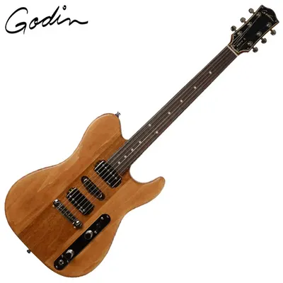 Godin 고딘 일렉기타 Radium Winchester Brown RN (049295)