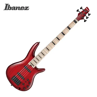 Ibanez 아이바네즈 5현 베이스기타 ANB205 (Transparent Wine Red Burst)