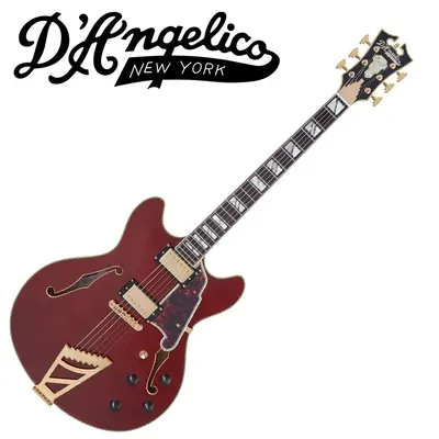 D.Angelico 디안젤리코 일렉기타 Excel DC Viola