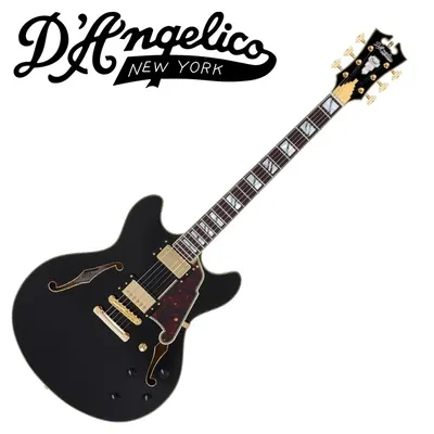 D.Angelico 디안젤리코 일렉기타 Excel DC Solid Black