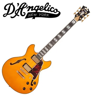 D.Angelico 디안젤리코 Excel Mini DC Vintage Natural