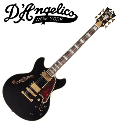D.Angelico 디안젤리코 Excel Mini DC Black