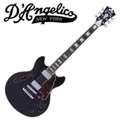 D.Angelico 디안젤리코 Premier Mini DC Black Flake